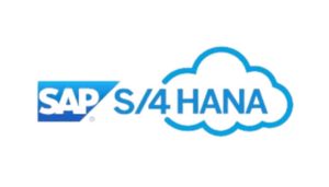 sap-s4-hanna2